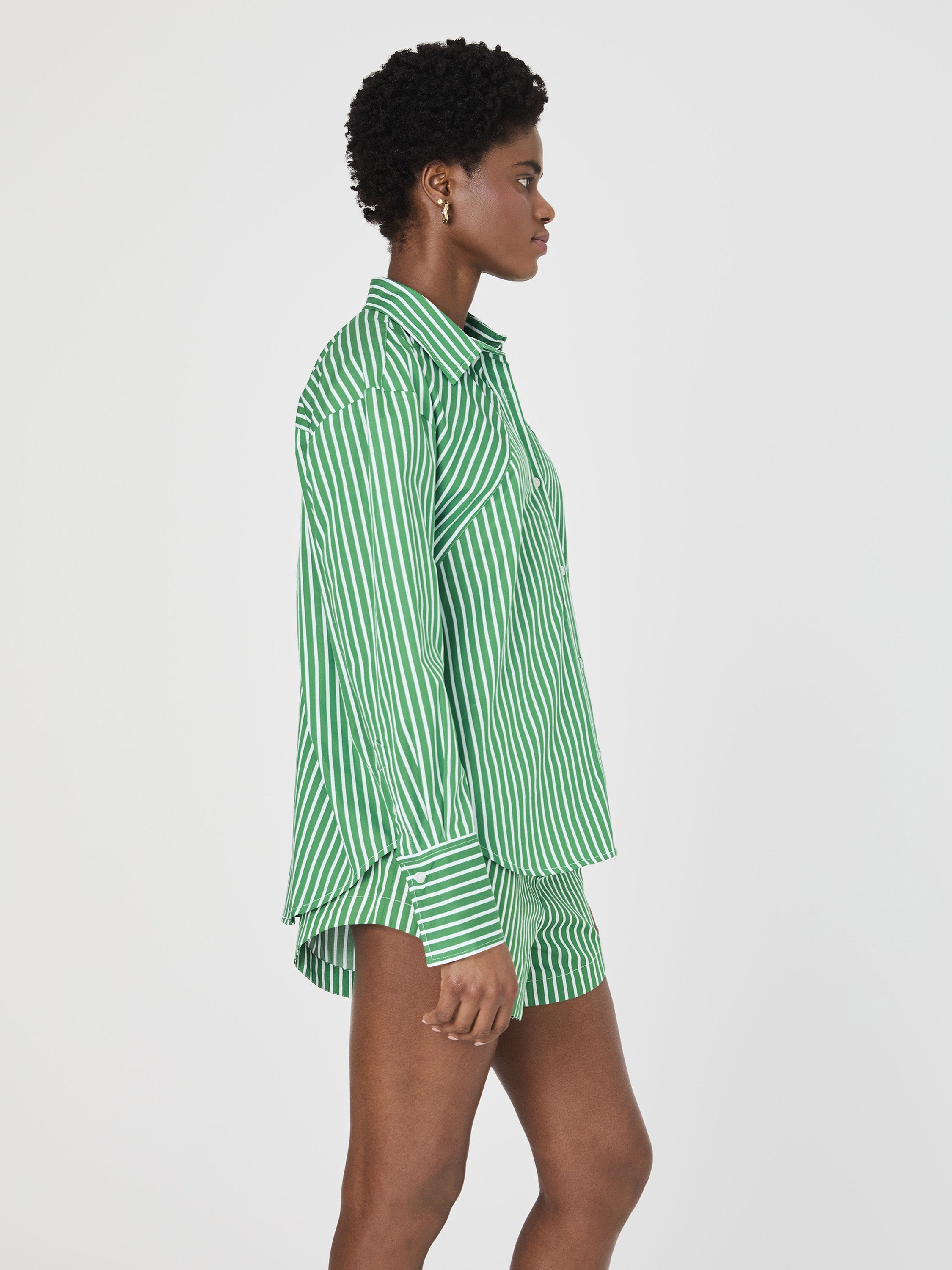 Alexis Cotton Angled Yoke Striped Shirt
