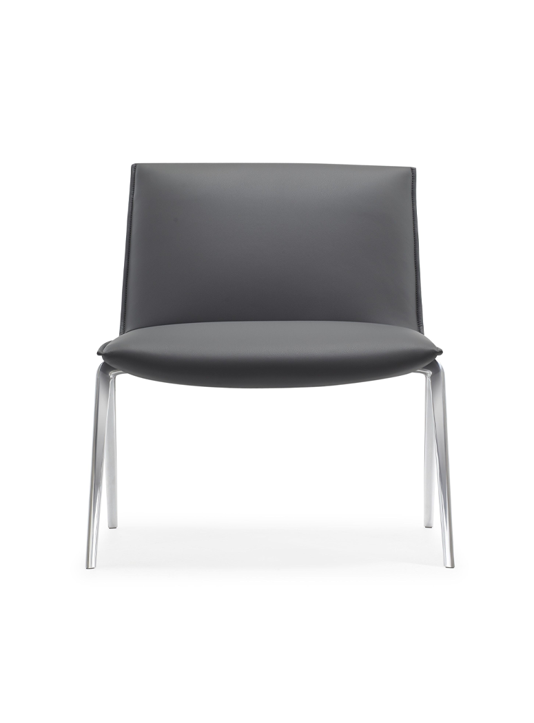 Astraea Office Accent Chair,black